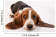 Basset Hound Puppy Wall Decal