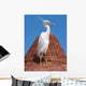 Egret Beach Umbrella Wall Mural
