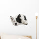 Border Collie Wall Decal Design 2