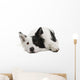 Border Collie Wall Decal Design 2