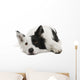 Border Collie Wall Decal Design 2