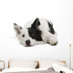 Border Collie Wall Decal Design 2
