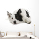 Border Collie Wall Decal Design 2