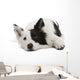 Border Collie Wall Decal Design 2