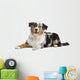 Australian Shepherd Wall Decal