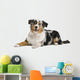 Australian Shepherd Wall Decal