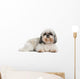 Shih Tzu 8 Years Wall Decal