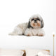 Shih Tzu 8 Years Wall Decal