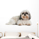 Shih Tzu 8 Years Wall Decal