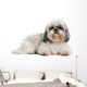 Shih Tzu 8 Years Wall Decal
