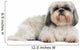Shih Tzu 8 Years Wall Decal