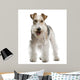 Fox Terrier 4 Yeas