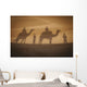 Shadow of camels with riders on the sand;India Wall Mural