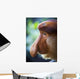 Proboscis monkey ;Borneo Wall Mural