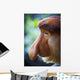 Proboscis monkey ;Borneo Wall Mural