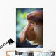 Proboscis monkey ;Borneo Wall Mural