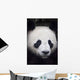 Portrait of panda ;China Wall Mural