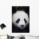 Portrait of panda ;China Wall Mural