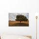 Tree In Desert Wall Mural