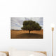Tree In Desert Wall Mural