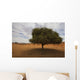 Tree In Desert Wall Mural