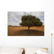 Tree In Desert Wall Mural