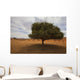 Tree In Desert Wall Mural