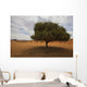 Tree In Desert Wall Mural