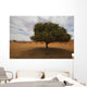 Tree In Desert Wall Mural