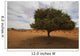 Tree In Desert Wall Mural