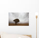 Lonely Quiver Tree In Cloudy Desert Wall Mural
