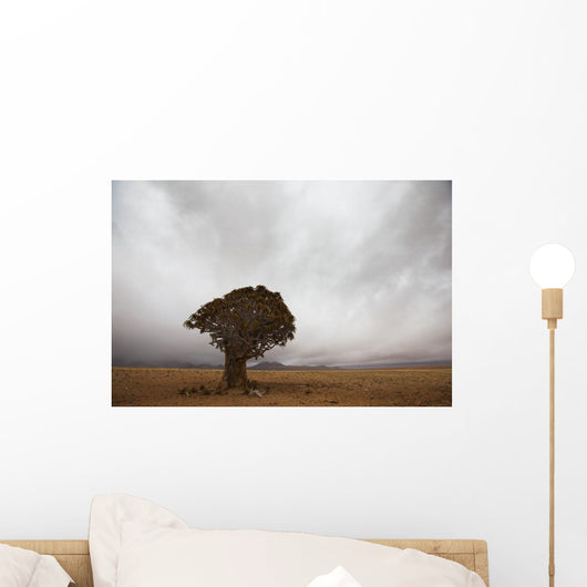 Lonely Quiver Tree In Cloudy Desert Wall Mural