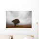 Lonely Quiver Tree In Cloudy Desert Wall Mural