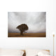 Lonely Quiver Tree In Cloudy Desert Wall Mural