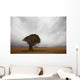 Lonely Quiver Tree In Cloudy Desert Wall Mural