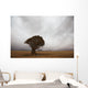 Lonely Quiver Tree In Cloudy Desert Wall Mural