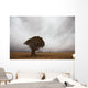 Lonely Quiver Tree In Cloudy Desert Wall Mural