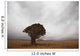 Lonely Quiver Tree In Cloudy Desert Wall Mural