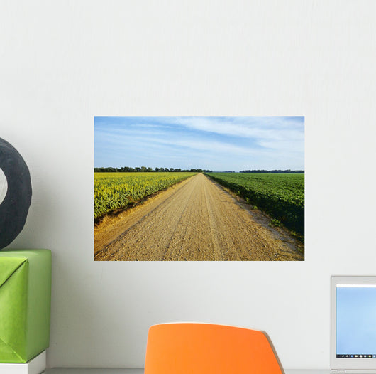 Gravel Country Road Passes Wall Decal