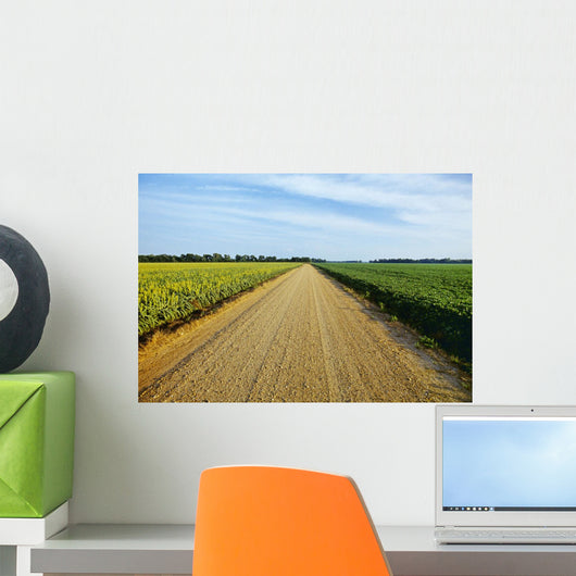 Gravel Country Road Passes Wall Decal