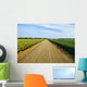 Gravel Country Road Passes Wall Decal
