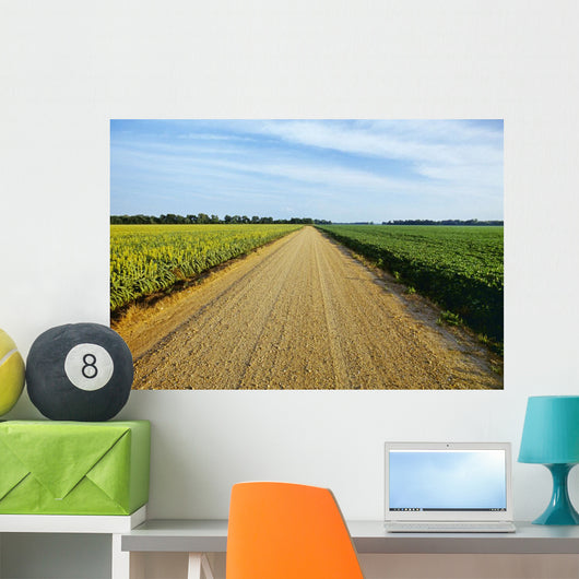 Gravel Country Road Passes Wall Decal