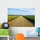Gravel Country Road Passes Wall Decal
