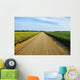 Gravel Country Road Passes Wall Decal