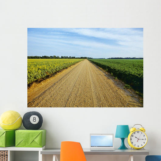 Gravel Country Road Passes Wall Decal