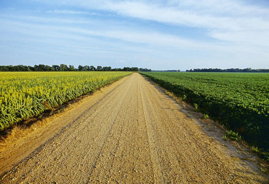 Gravel Country Road Passes Wall Decal