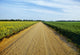 Gravel Country Road Passes Wall Decal