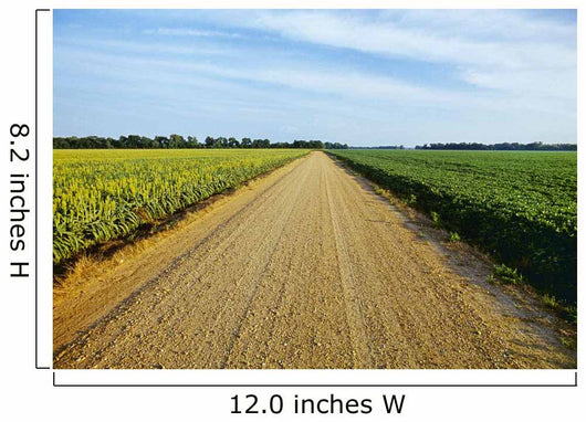 Gravel Country Road Passes Wall Decal