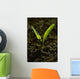 Agriculture - Closeup of a grain corn seedling Wall Mural