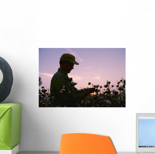Farmer Inspects His Mature Wall Decal